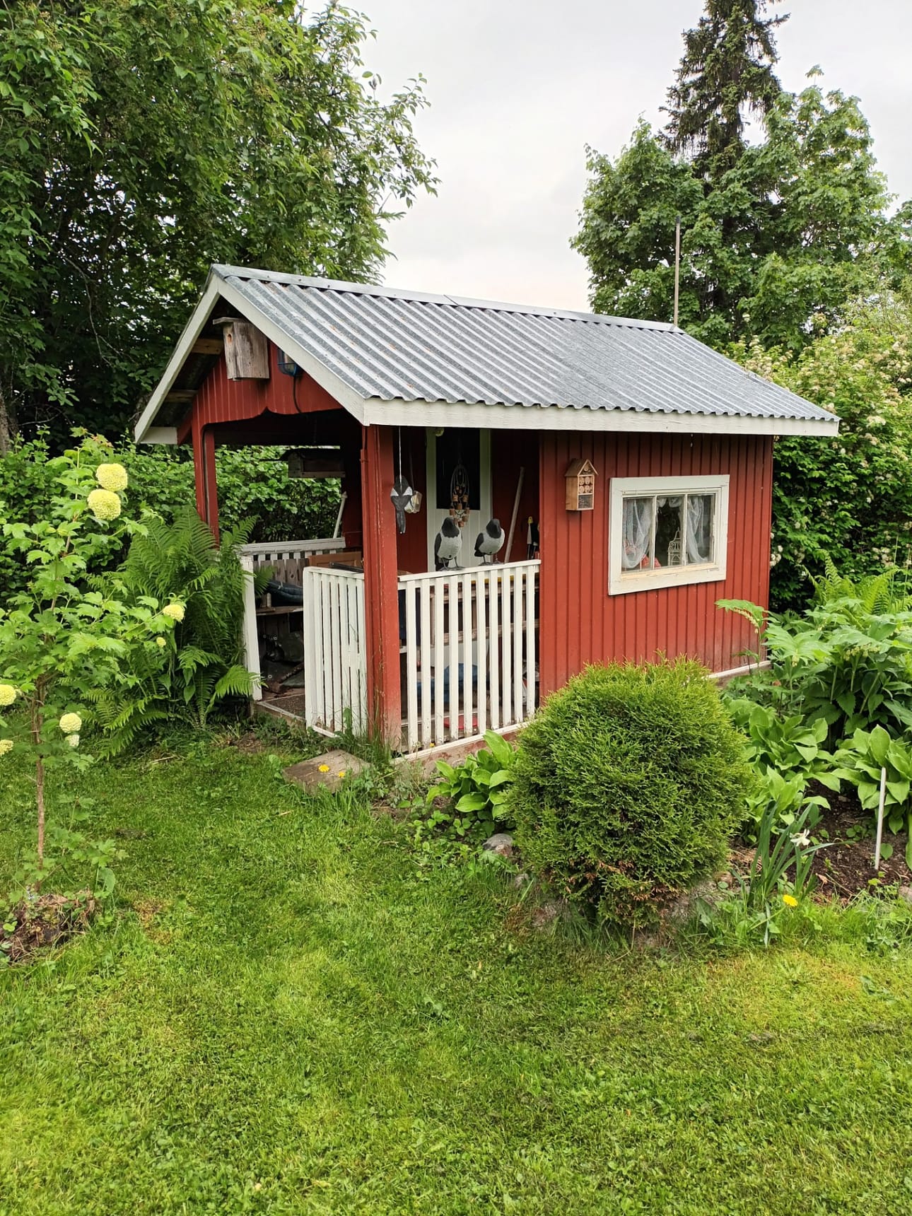 Mökki numero 3