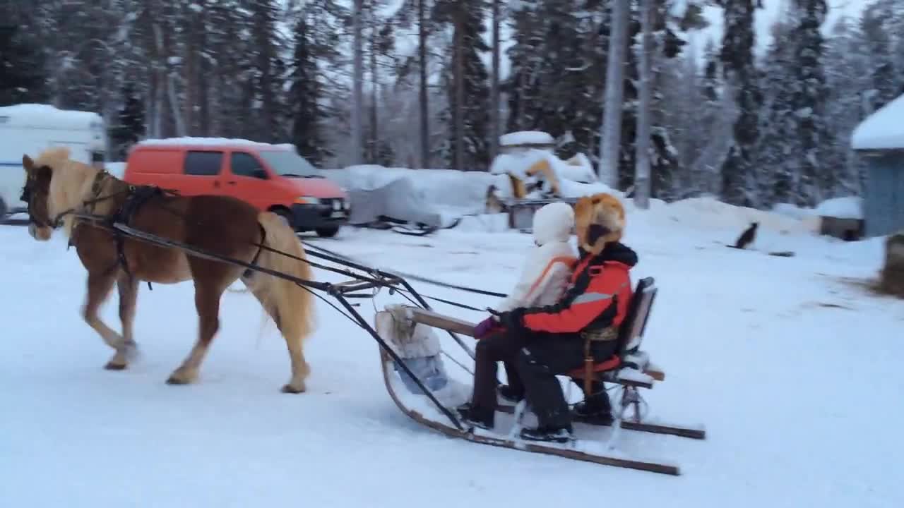 Joulun toivotus hevoskyydistä