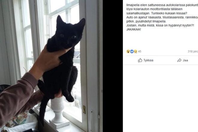 Kuvakaappaus Minna Raiskin Facebook-sivulta.