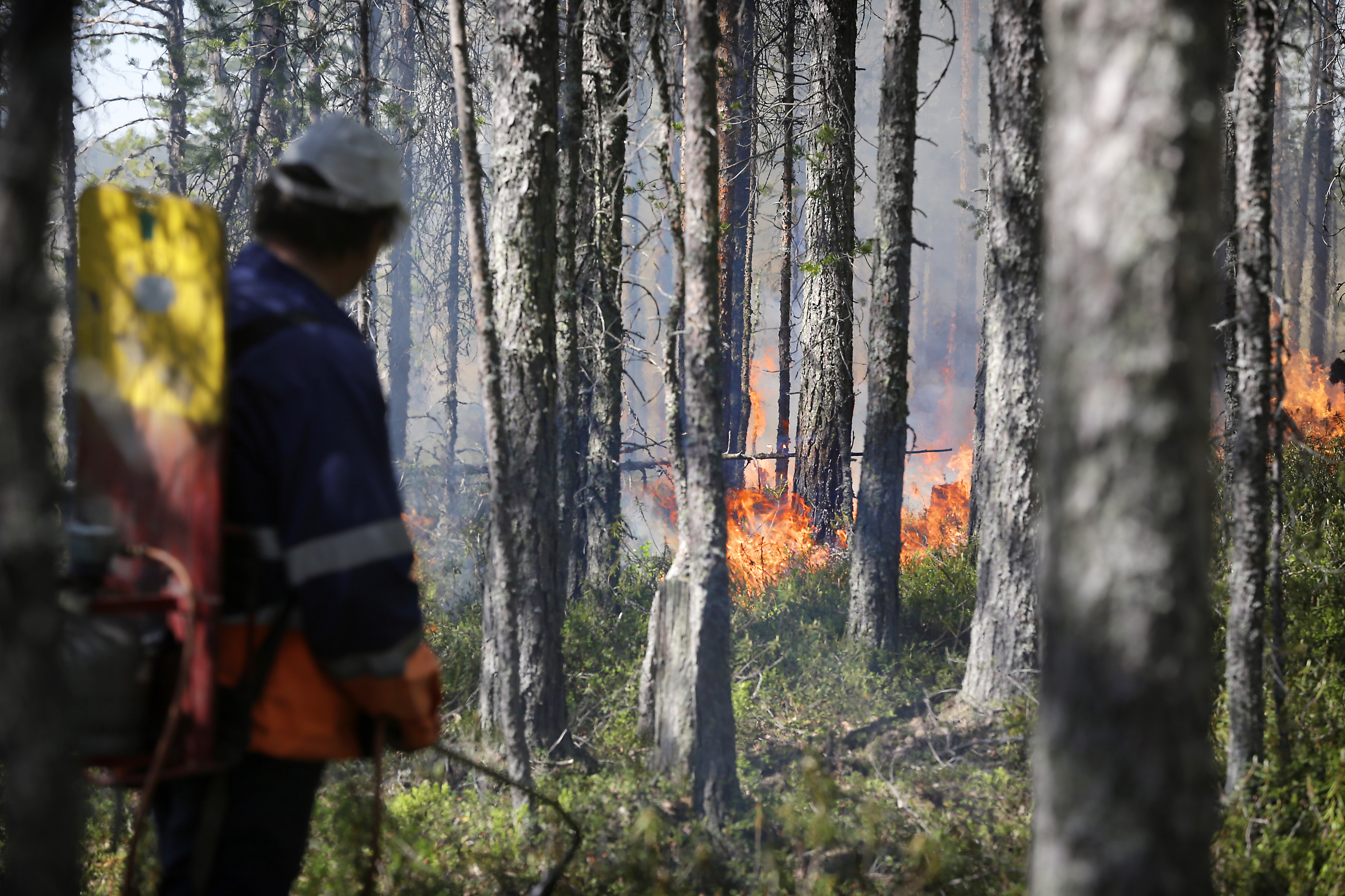 Simossa kulotetaan vanhojen metsien suojeluohjelmaan kuuluvaa metsää metsäpalovaroituksesta huolimatta