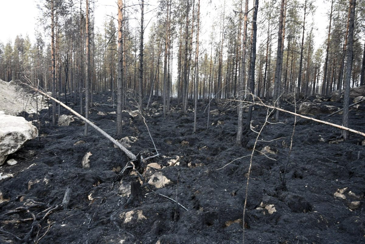 Metsäpalo alkoi Kalajoen Rautiossa sijaitsevalta Mutkalammin tuulipuiston työmaalta heinäkuussa 2021. LEHTIKUVA / AKI PAAVOLA