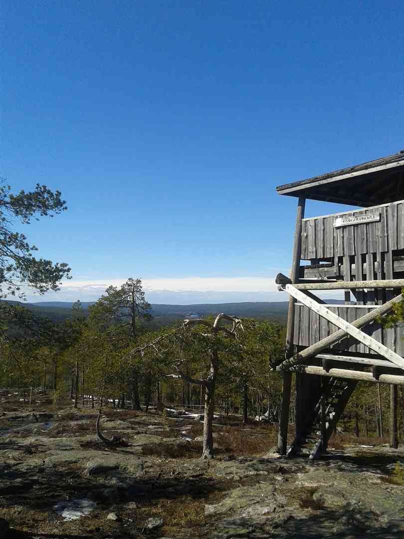 Köngäsvaarassa. Mikko Pelkonen kiipesi Köngäsvaaran päälle.