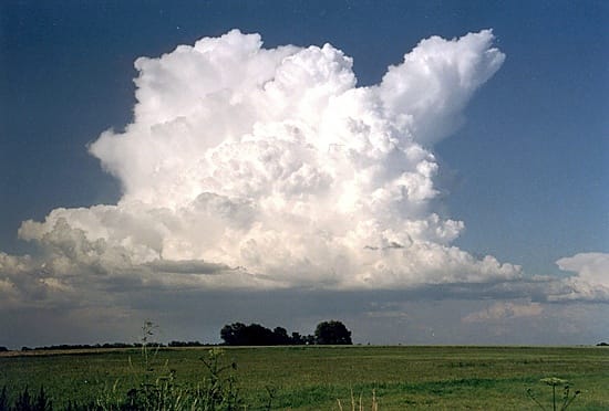 Bongaukseen kunniahimoisemmin suhtautuvien kannattaa suunnata esimerkiksi peltoaukeille.