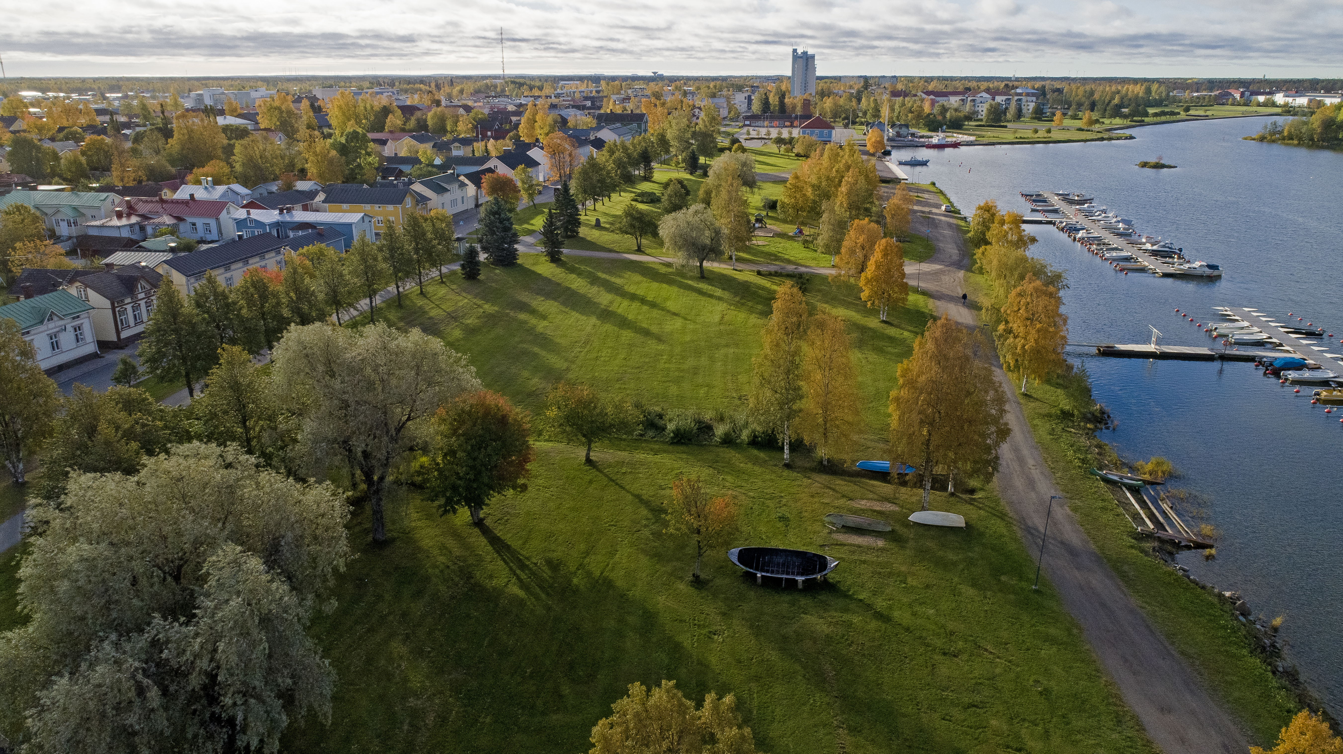 Kaikkien puiden ei tarvitse kerätä lehtivihreää talteen. Ei kannata huolestua, vaikka ne pudottavatkin vihreät lehtensä maahan.