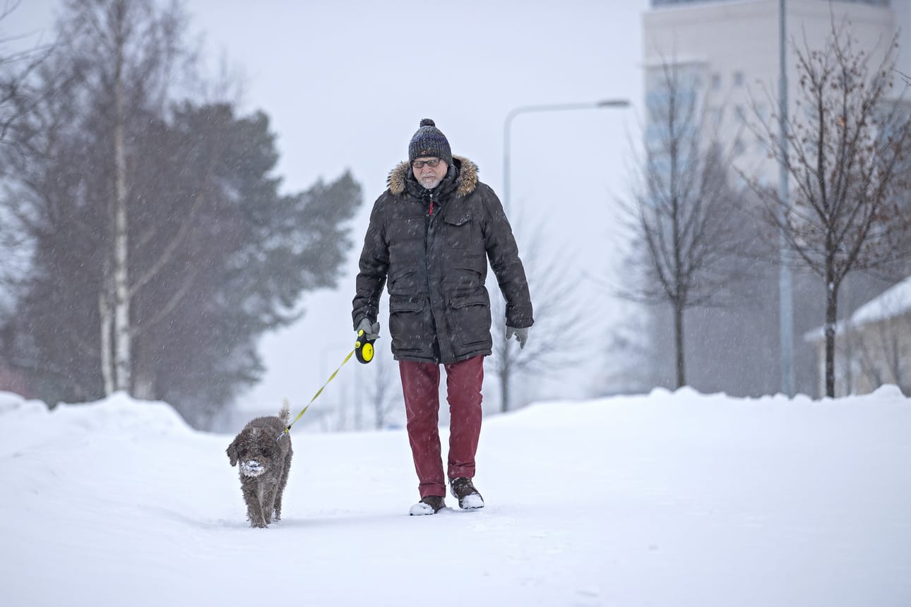 Markku Lindberg miettii, onko mitään järkeä laittaa Kennelliiton rekisterissä oleva Pupu toiseen koirarekisteriin.