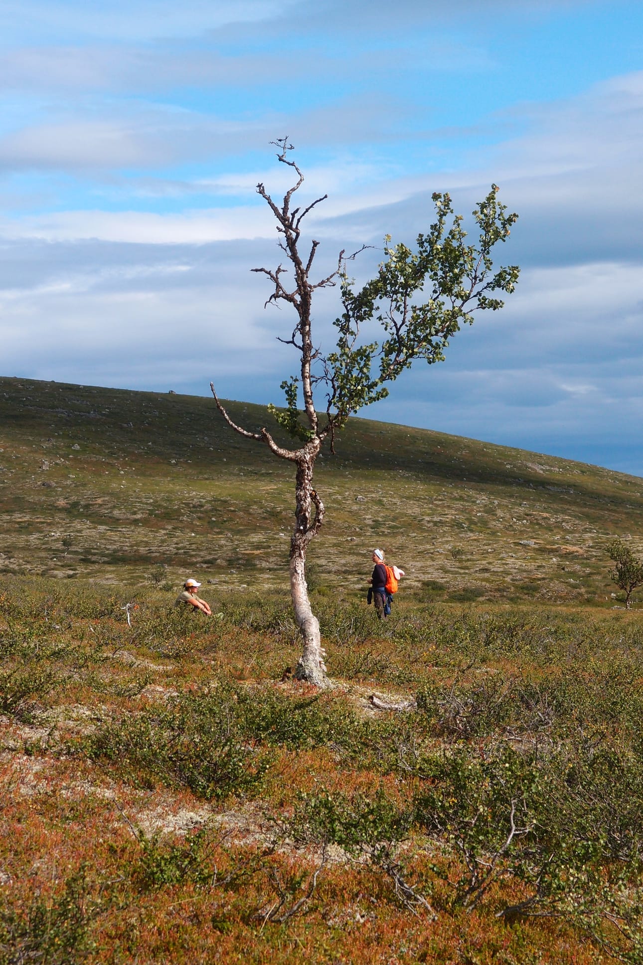 Paistunturin erämaan maisemaa hallitsee pohjoisessa paljas ja puuton tunturiylänkö, eteläosassa laajat suoalueet ja kalaisat järvet. Vastapainoa puuttomuudelle tarjoavat tunturikoivikot.