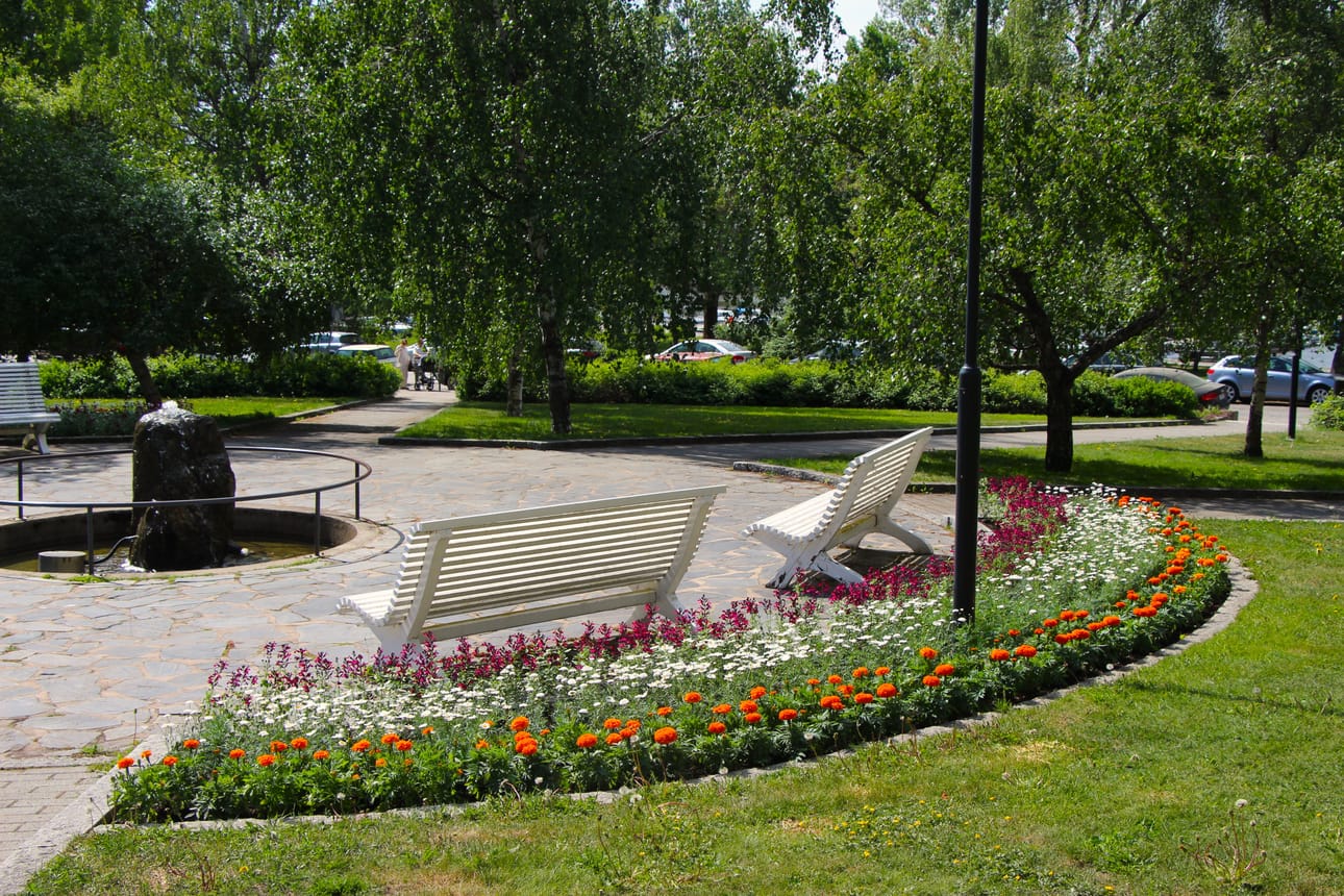 Koivupuistossa istutus on jo valmis. Siellä kukkii isosamettikukka, marketta ja salvia.