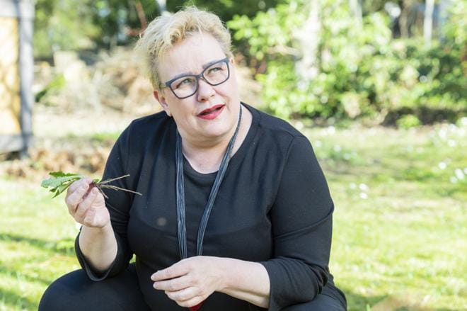 Sirpa Pietikäinen kerää omalta pihaltaan salaatteihin muun muassa voikukkia. Niistä voi käyttää myös juuret. KUVAT: Tomi Vesaharju