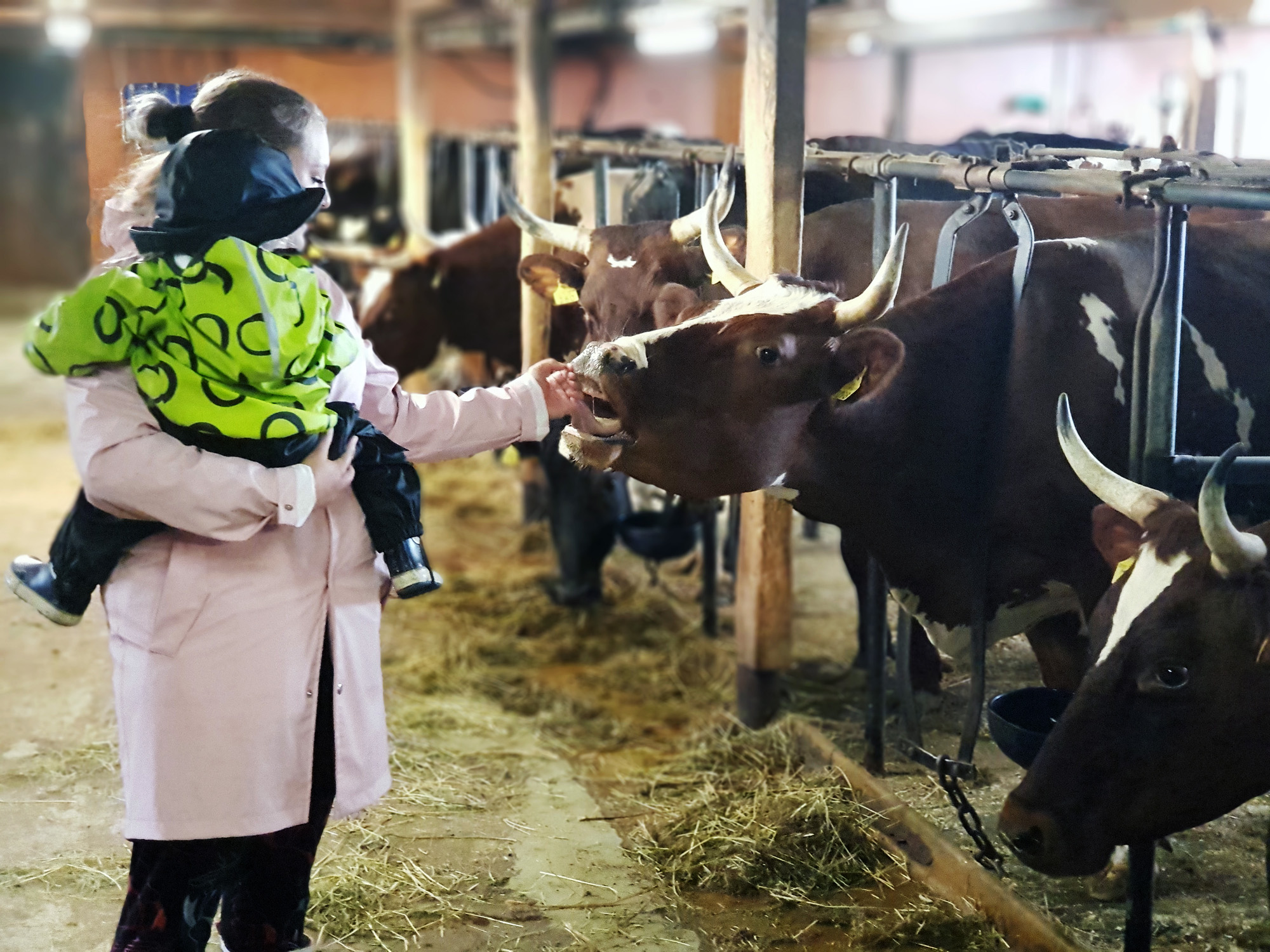 Käynti Sodankylän Visatuvalla toi porilaiselle Minka Leino-Holmille hostellireissaajapalkinnon