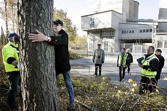 Toppilansaaren asukkaat ja muut vanhojen mäntyjen puolustajat sekä kaupungin edustajat järjestivät katselmuksen tietyömaalla keskiviikkona. Mäntyä halaamassa asukasyhdistyksen puheenjohtaja Juhani Suopanki.