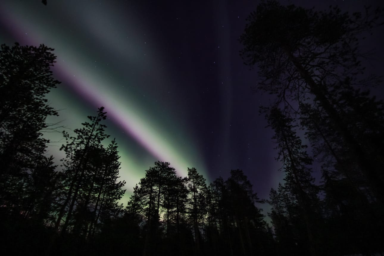Liisa Posio ikuisti revontulet torstai-iltana Rovaniemellä pajakylän takana.