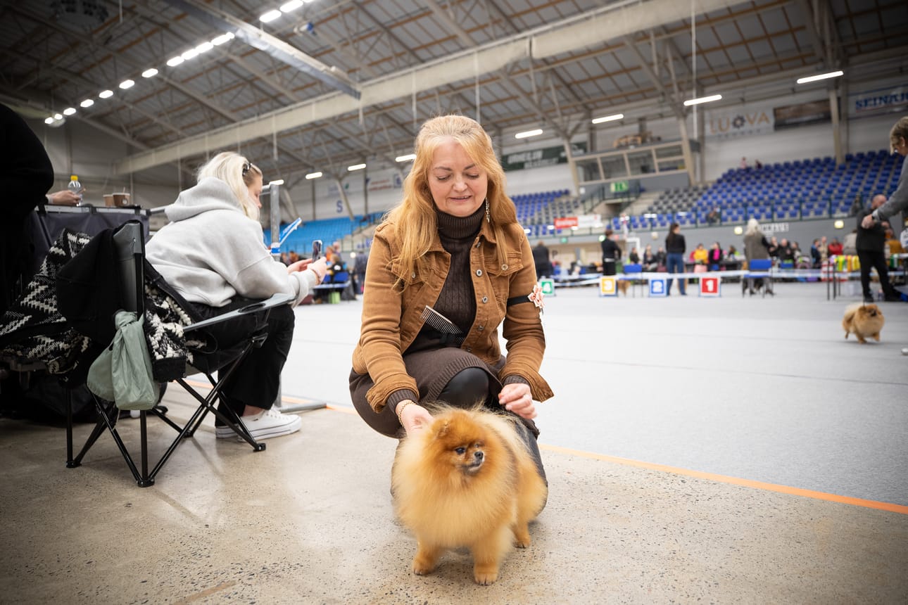 Elena Korpela oli matkannut Seinäjoelle Raisiosta Twixin kanssa. Twix on pomeranian.