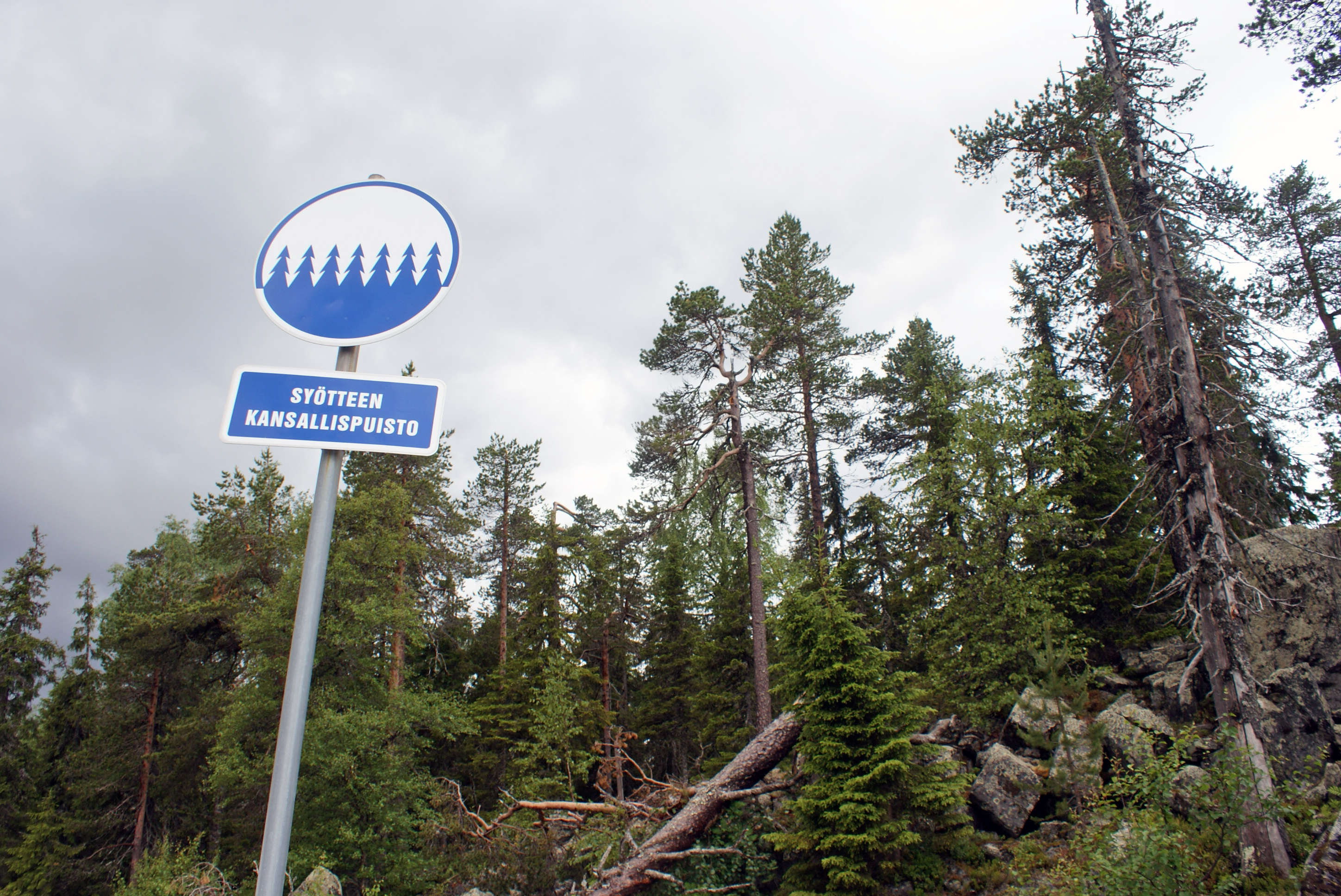 Syötteen kansallispuistossa on meneillään juhlavuosi. Puiston perustamisesta on 20 vuotta.