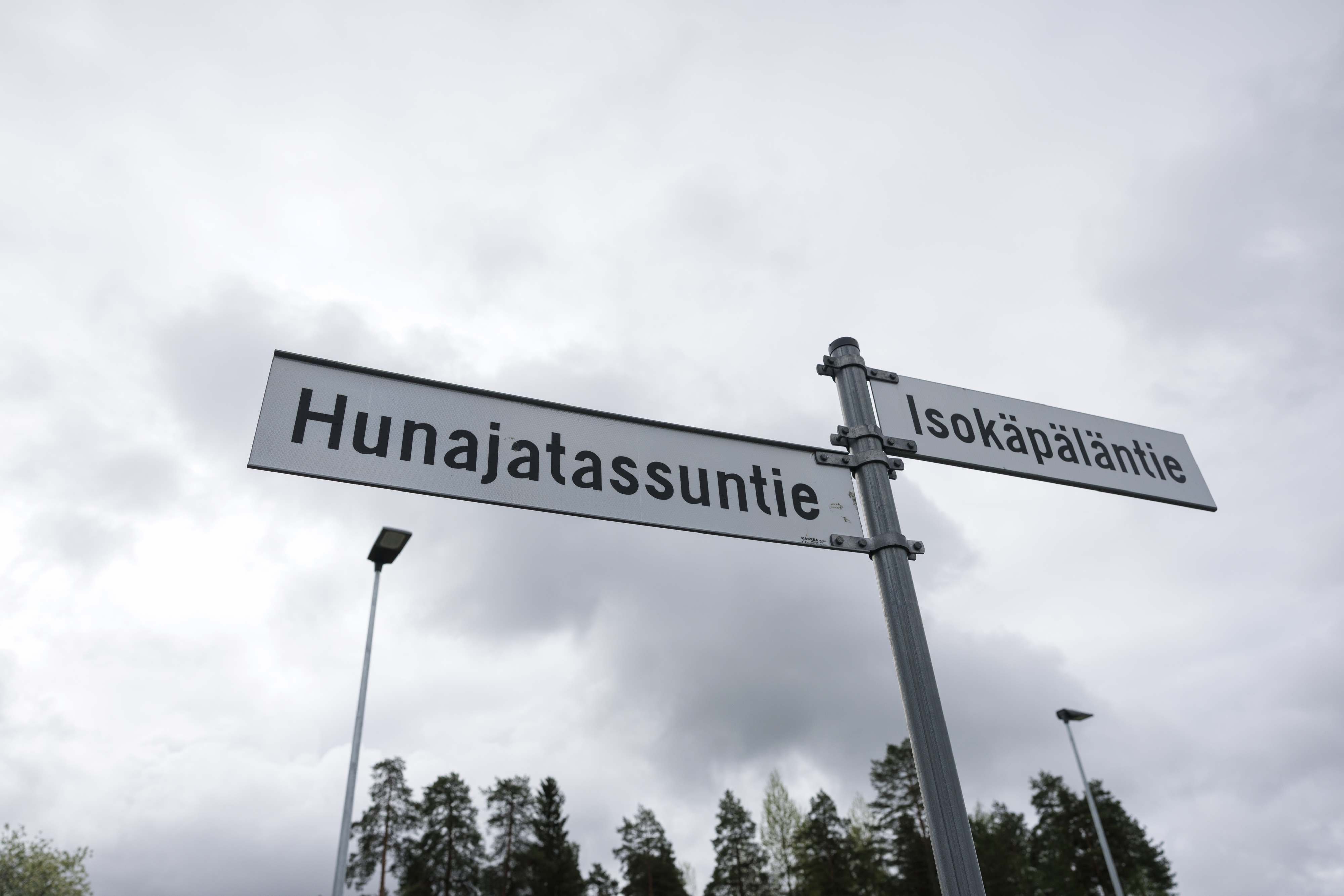 Hiirosessa moni katu on nimetty metsän kuninkaan mukaan.
