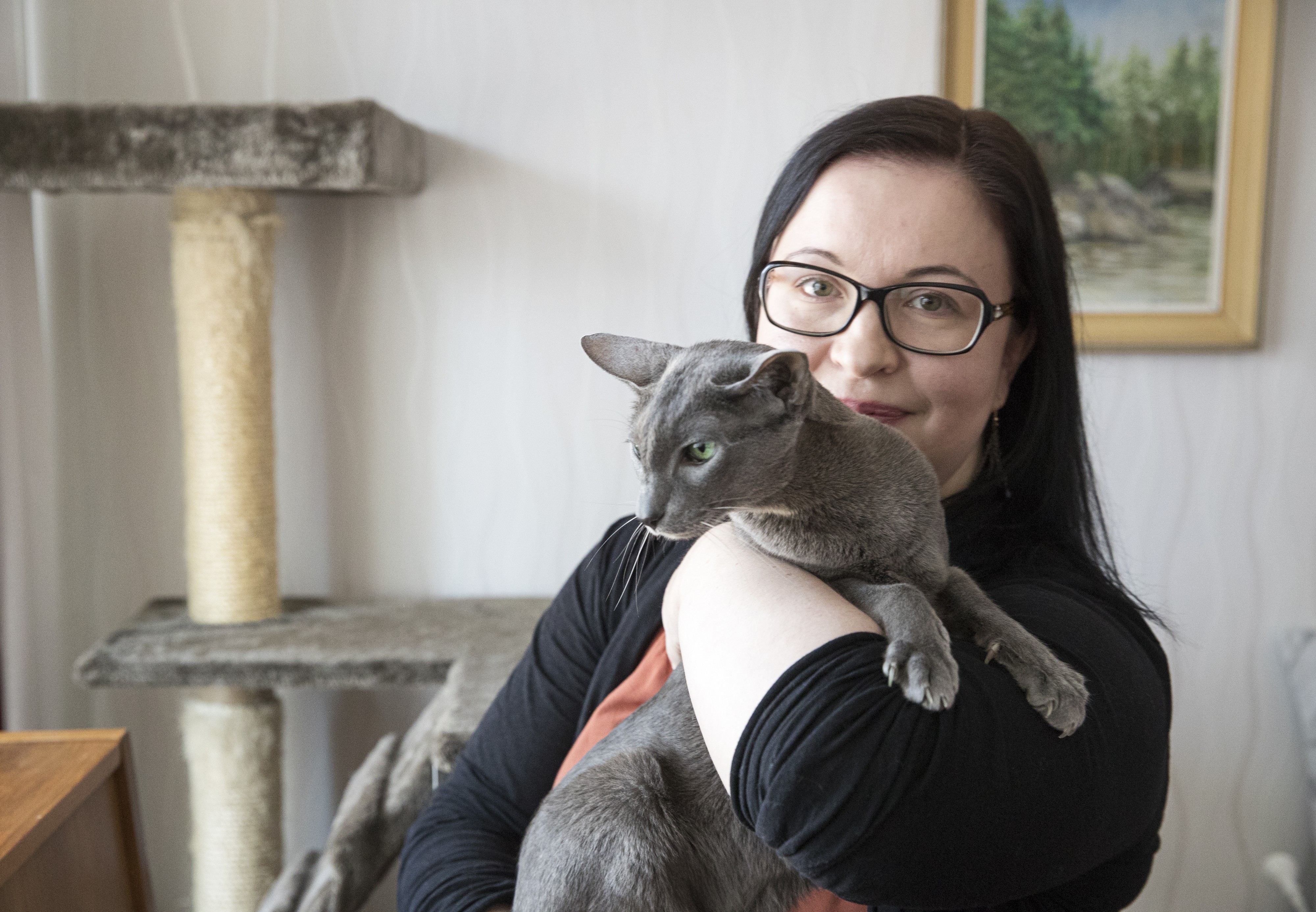 Annina Laitila sanoo siedättyneensä kissoille. Hänellä on sylissään itämainen lyhytkarvakissa Milli, joka muutti hänen luokseen kolme kuukautta sitten.