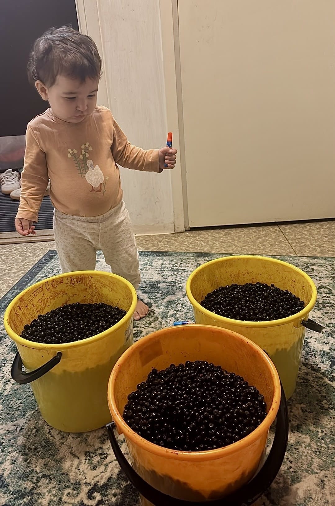 Myös Defne, 1, on päässyt tutustumaan suomalaisiin mustikoihin.
