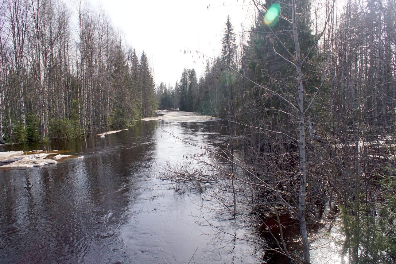 Kivarinjoki tulvii huhtikuun lopulla.