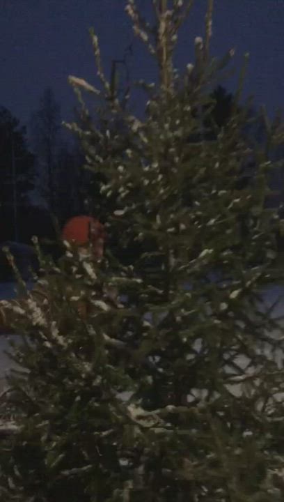 Jouluvalmistelut