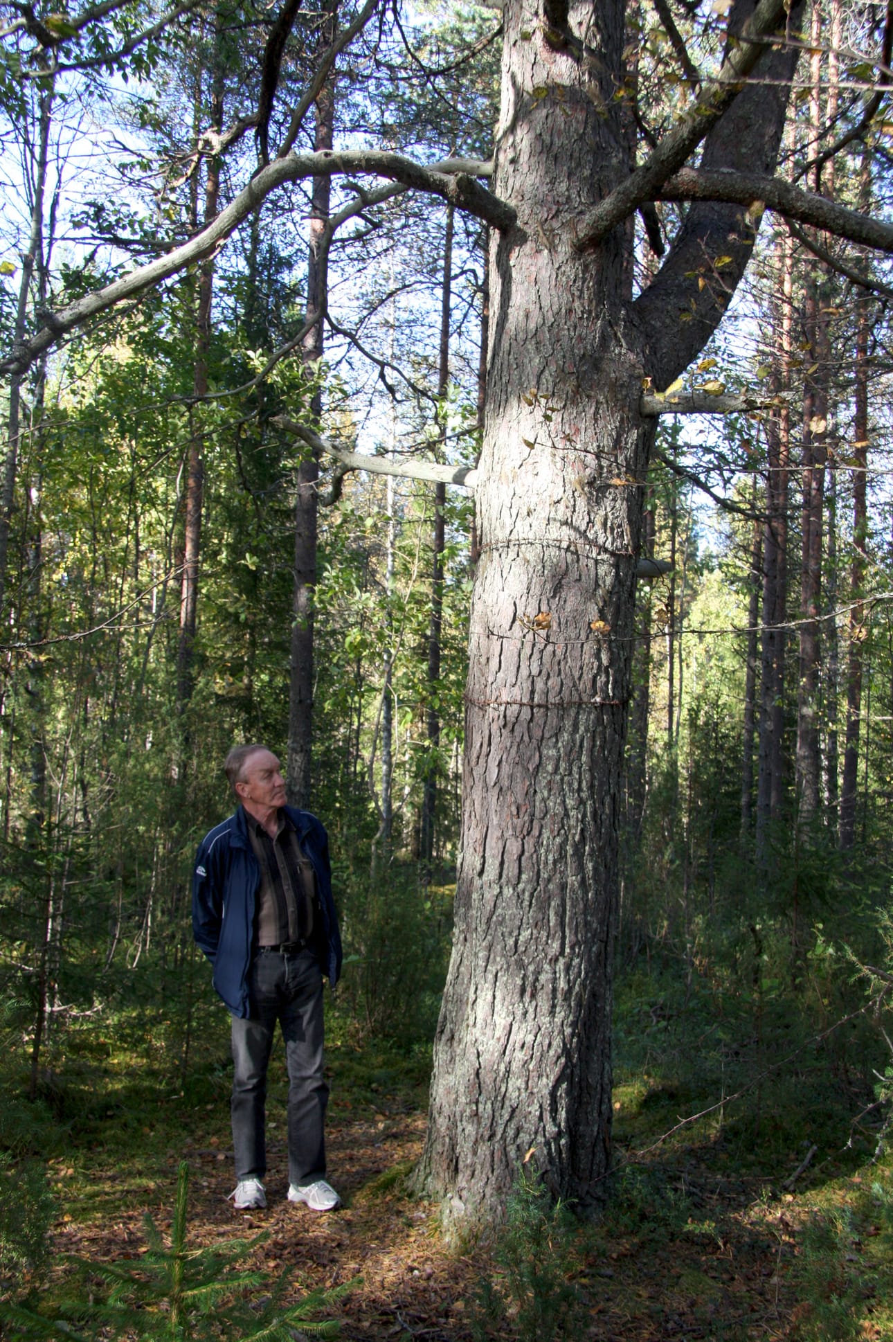 Tuomo Horsma on perehtynyt Metsäkylän historiaan.