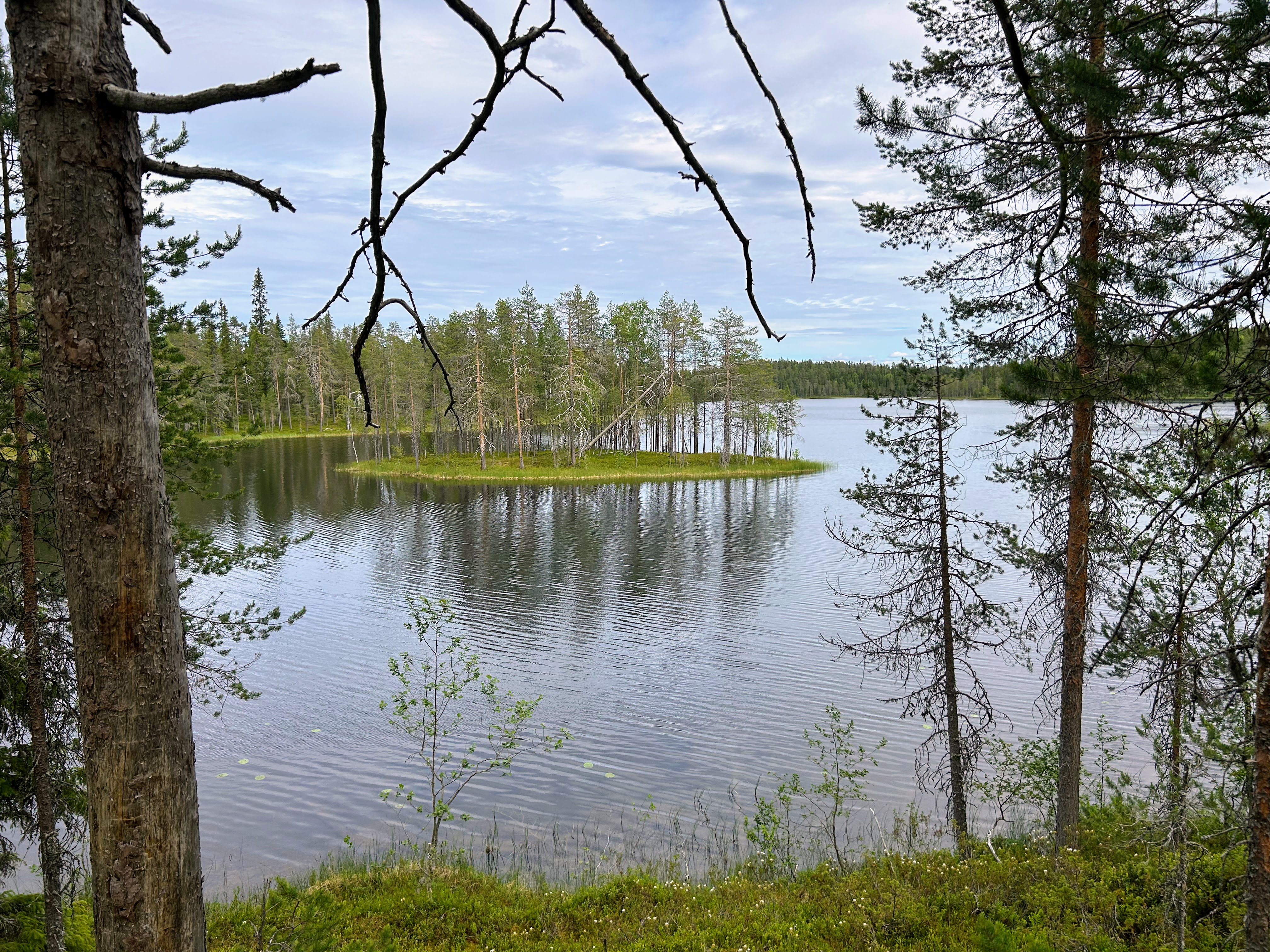 Kolmas reitin varrella oleva järvi on Saarilampi. Sen rannan lähellä oli tällainen Google Mapsin mukaan nimetön saari.
