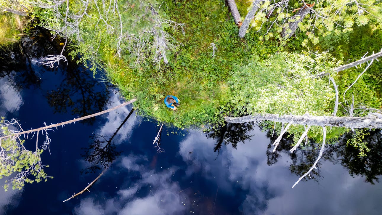 Sanginjoen suo ei ole vain esityksen näyttämö, vaan aktiivinen osa kokemusta, jossa luonto ja teknologia kietoutuvat yhteen.