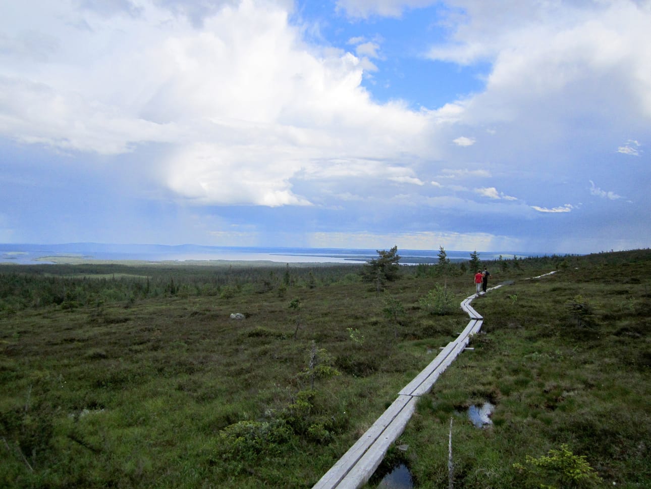 Esimerkiksi Riisitunturi tarjoaa huikeita maisemakokemuksia kaikille aisteille.