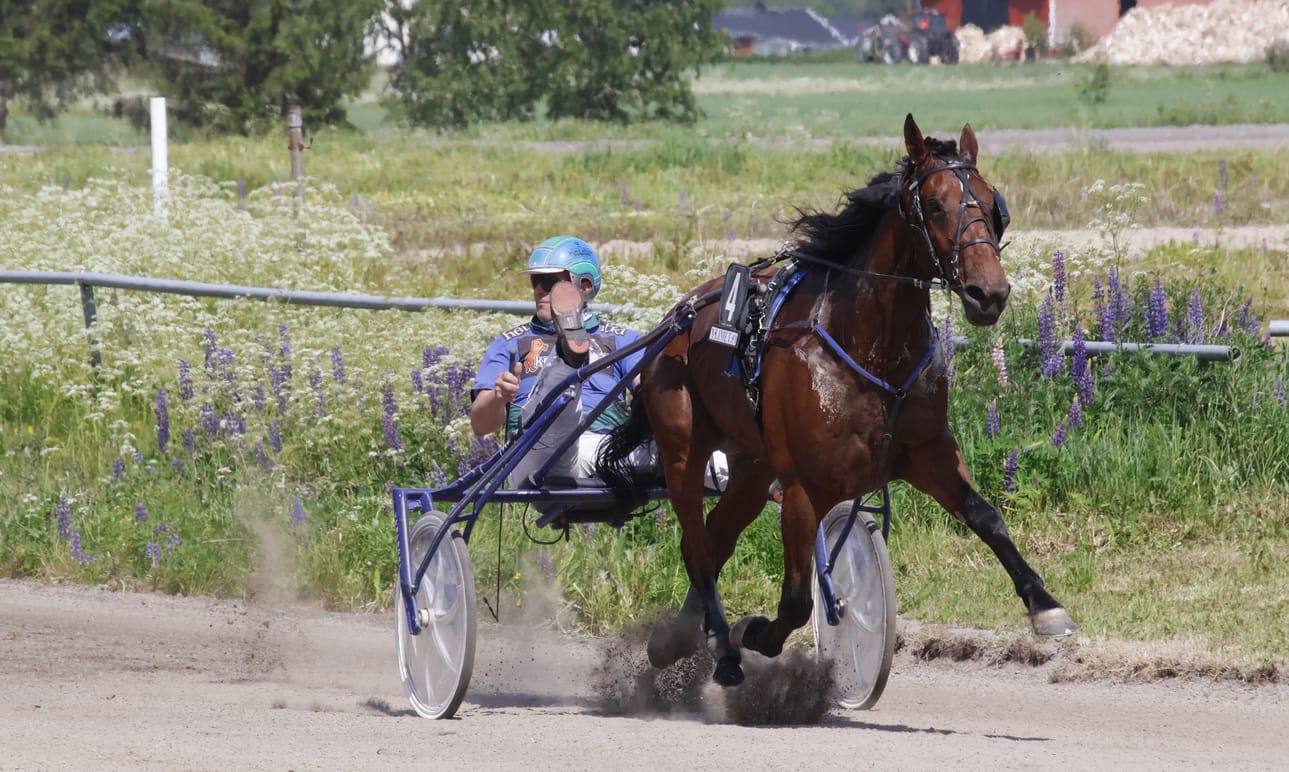 Antti Ala-Rantala luotsasi Claude P. Hillin maaliin lämminveristen päälähdön ykkösenä.