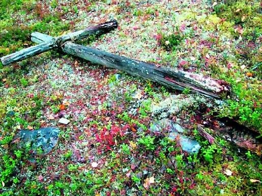 Risti seissyt pystyssä kivikkoisella mäntykankaalla mahdollisesti vuosikymmeniä ennen kaatumistaan.