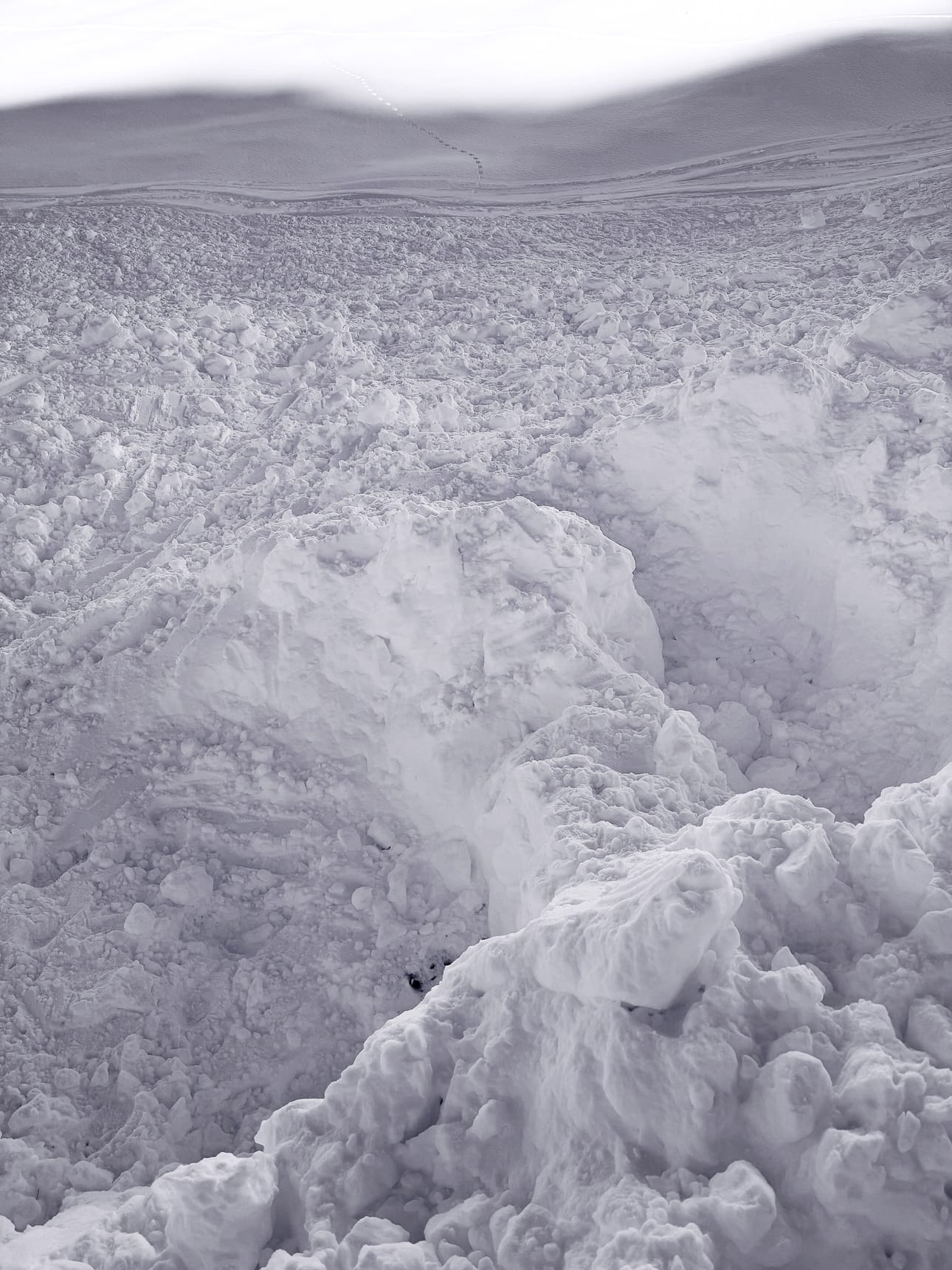 Kuvassa näkyvät kuopat, joista valmentaja Leevi Keränen ja opiskelija kaivettiin ylös.