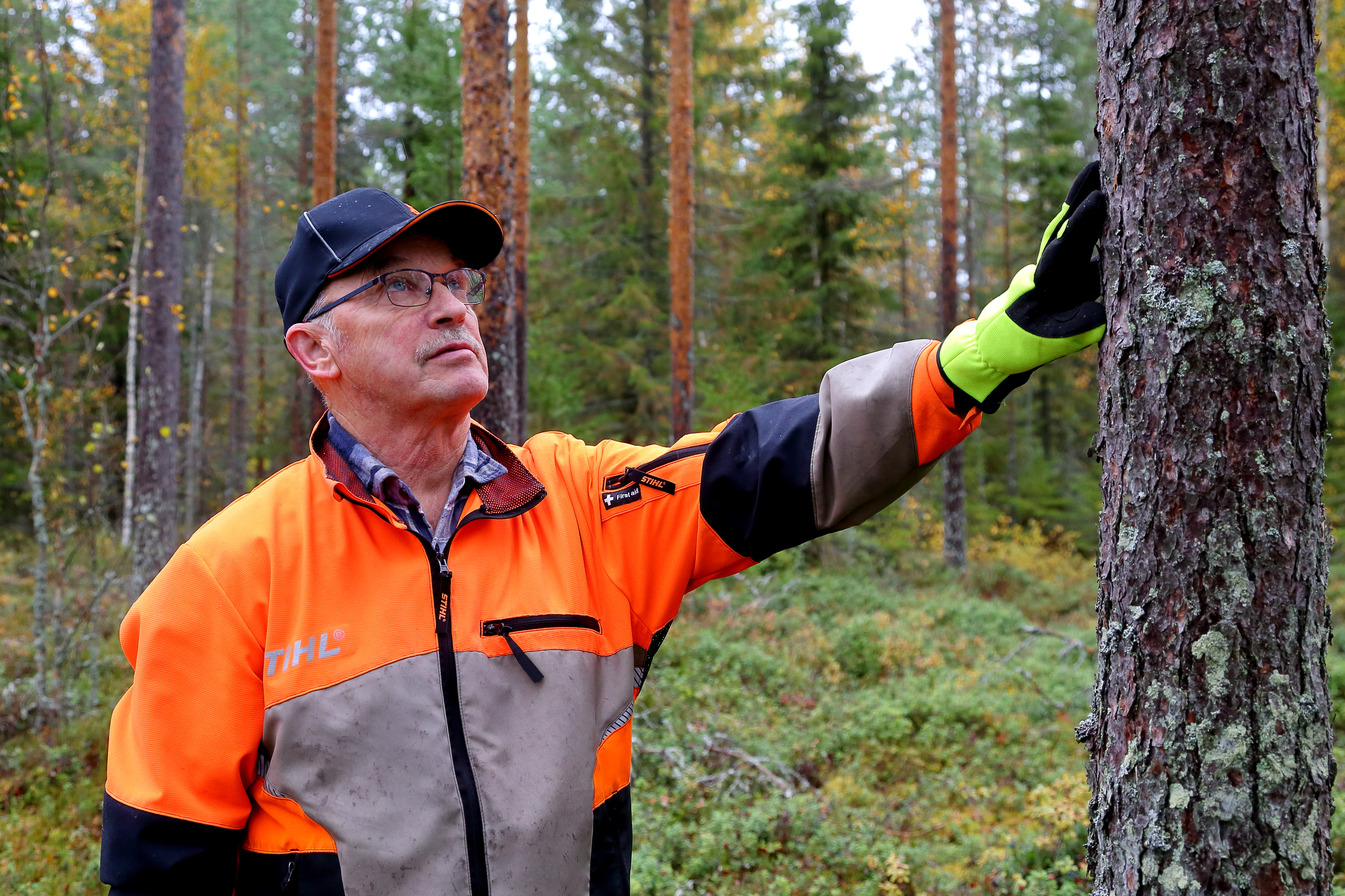 Kullervo Kanniainen on hoitanut metsiä 55 vuotta. 