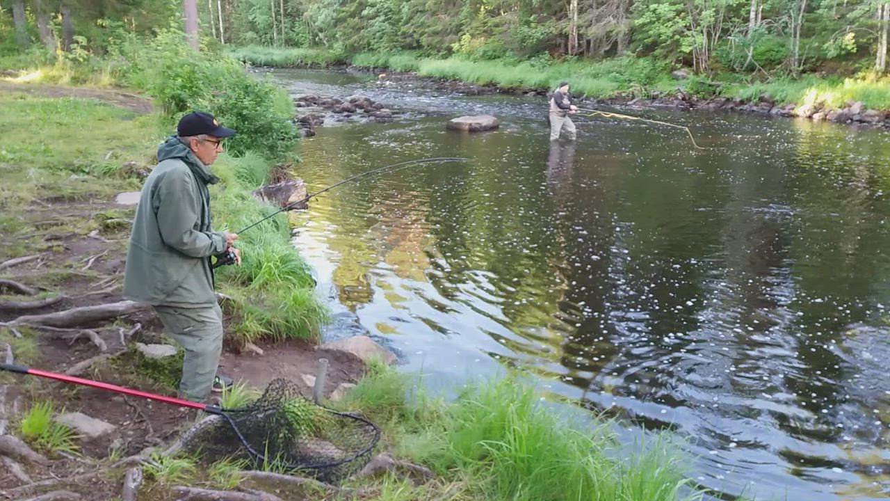 Kesäaamun kalasaalista joelta