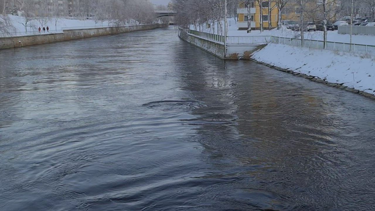Hylje uiskenteli Toivoniemessä lauantaina
