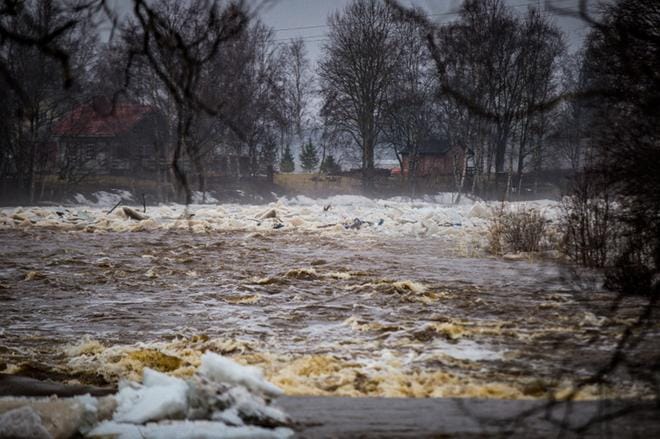 Isonkyrön kirkonlahden jälkeen jäät pakkautuivat Hypäjänkosken alajuoksulle. Tilanne Tuuralan puolelta kuvattuna tiistaina 17.4 aamupäivällä. KUVA: MAIJA SAANIO