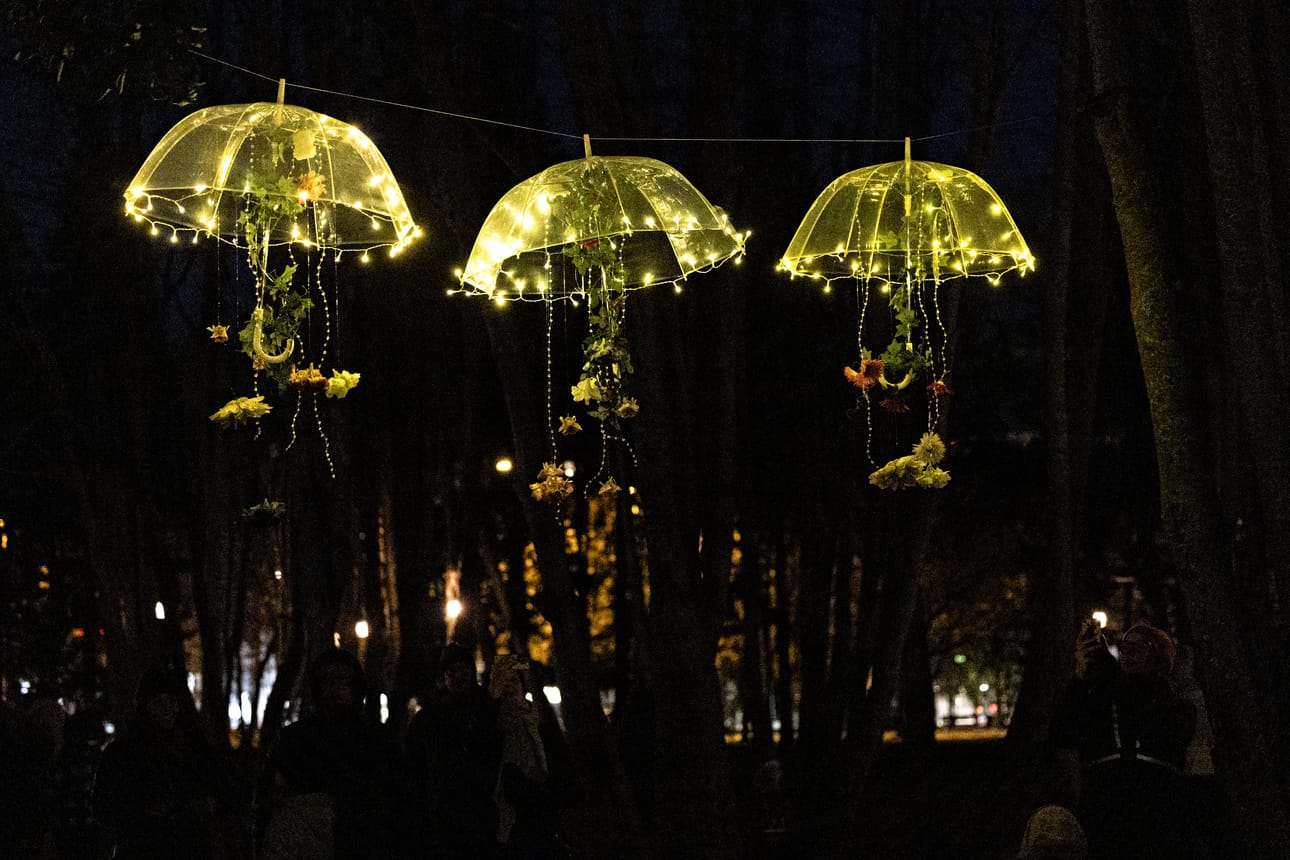 Eveliina Herralan ja Markus Peltomäen teos Varjojen tanssi valaisee pimeää Kirkkopuistoa.