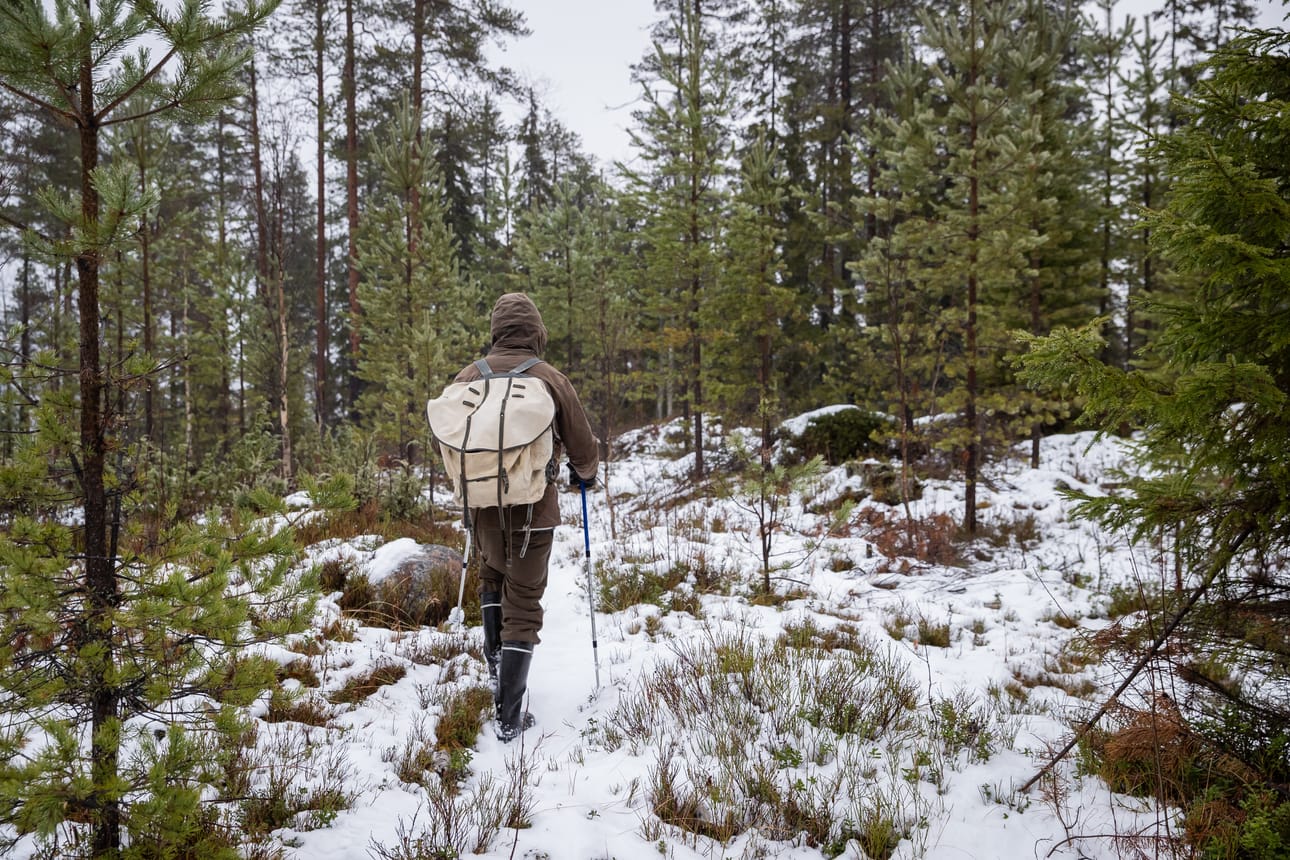Ajouralta lähtee polku kohti Halosen uunia.