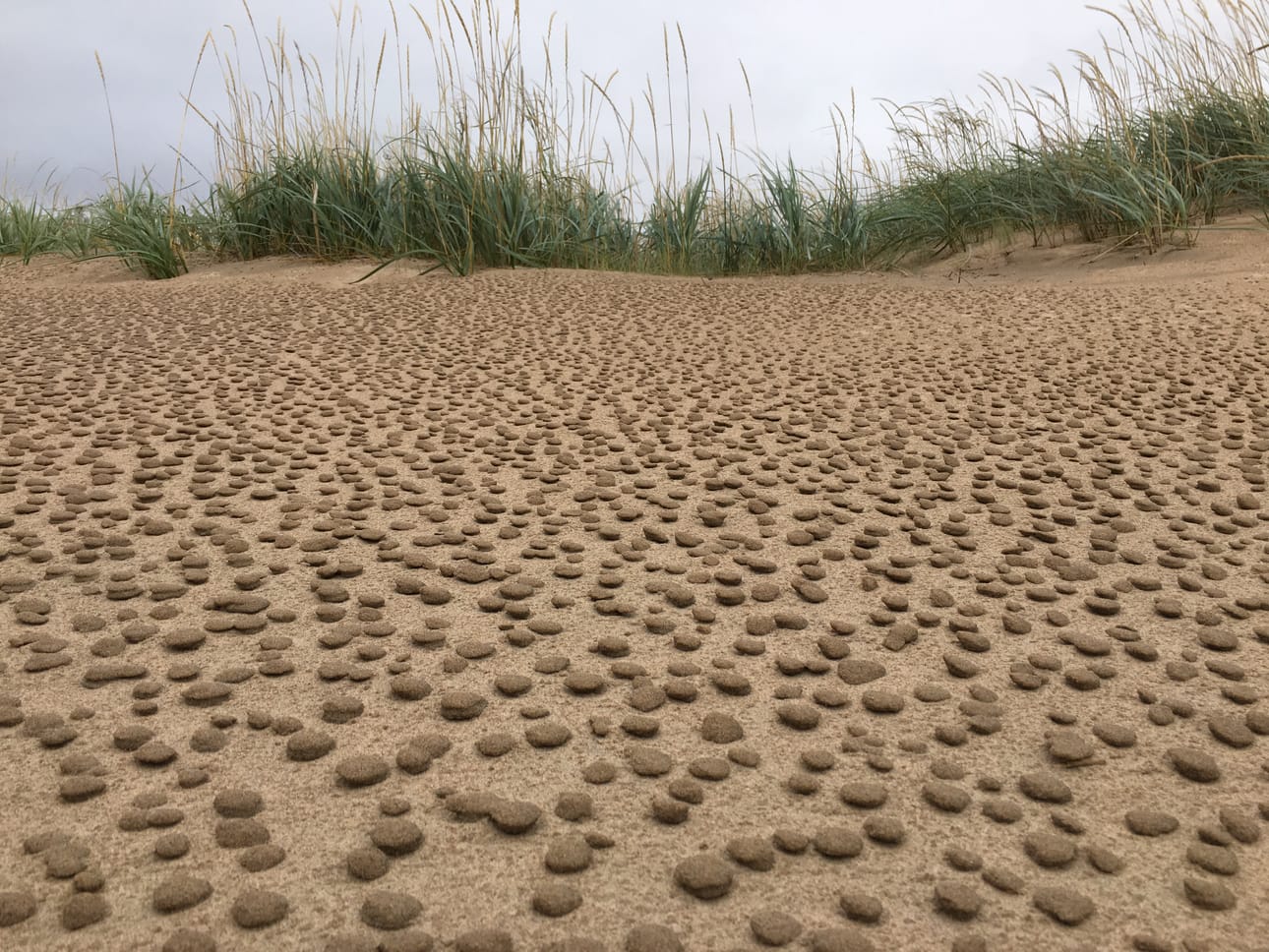 Tuulen tekosia Luovossa.