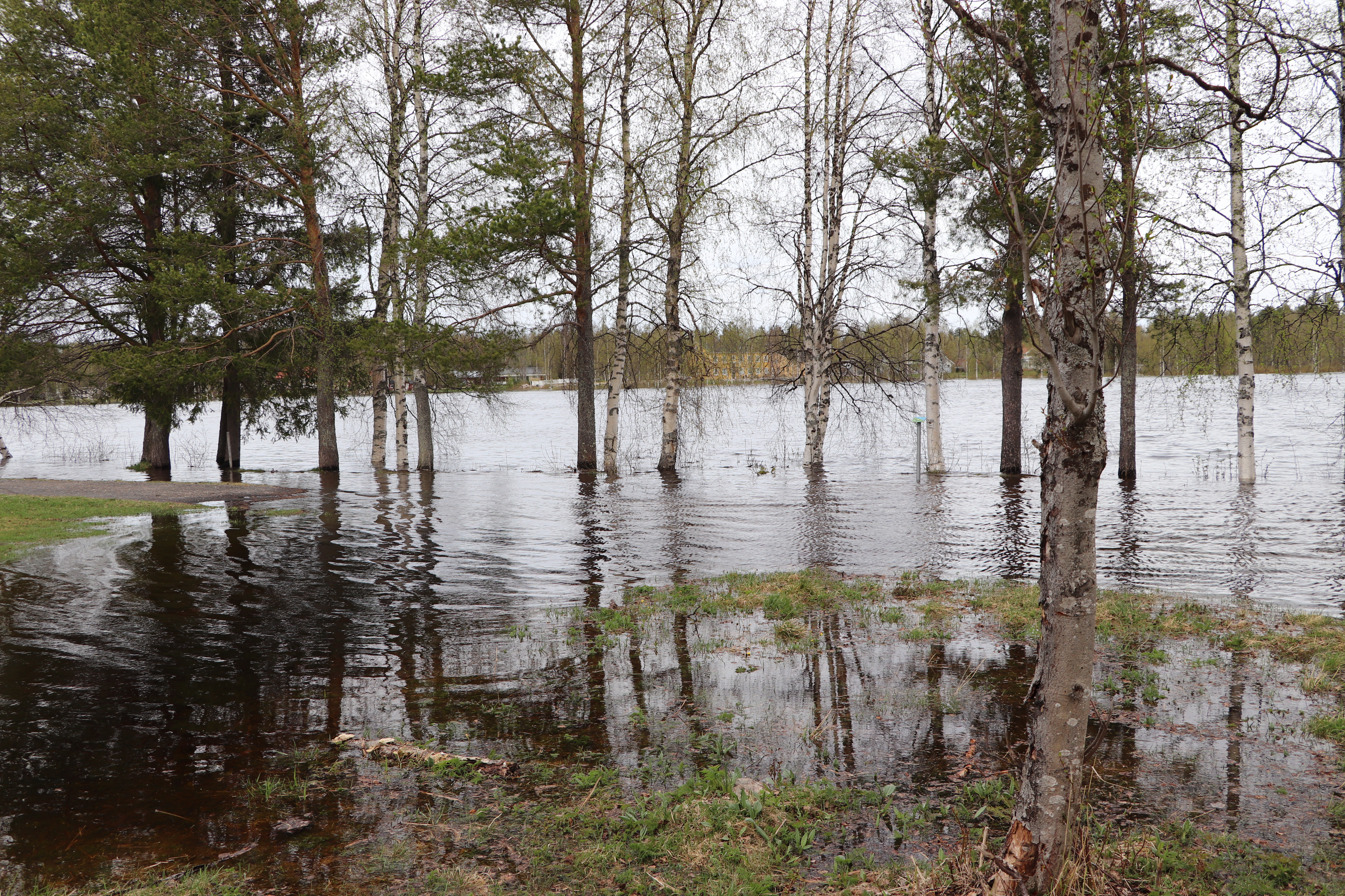 Iijoen Rajamaanranta 27.5.2020.