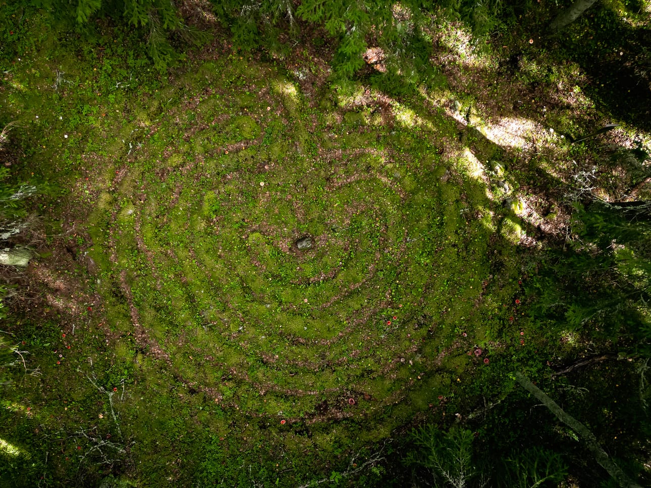 Närpiöläismetsästä löytyy vuosisatoja vanha mysteeri.