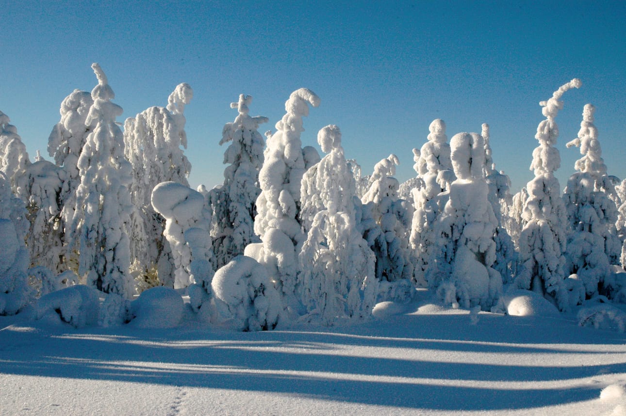 Sinisiä ja valkoisia maisemia näytetään televisiossa.