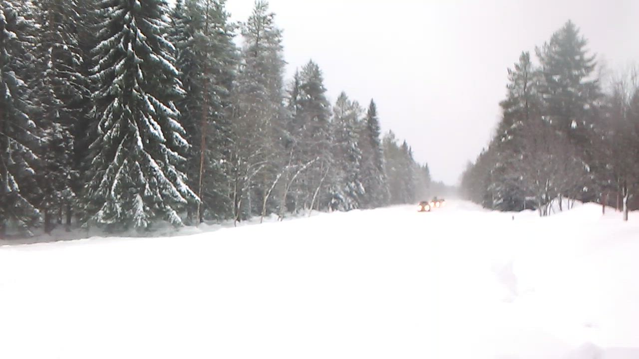 Hollantilaisautojen paluu pohjoisesta