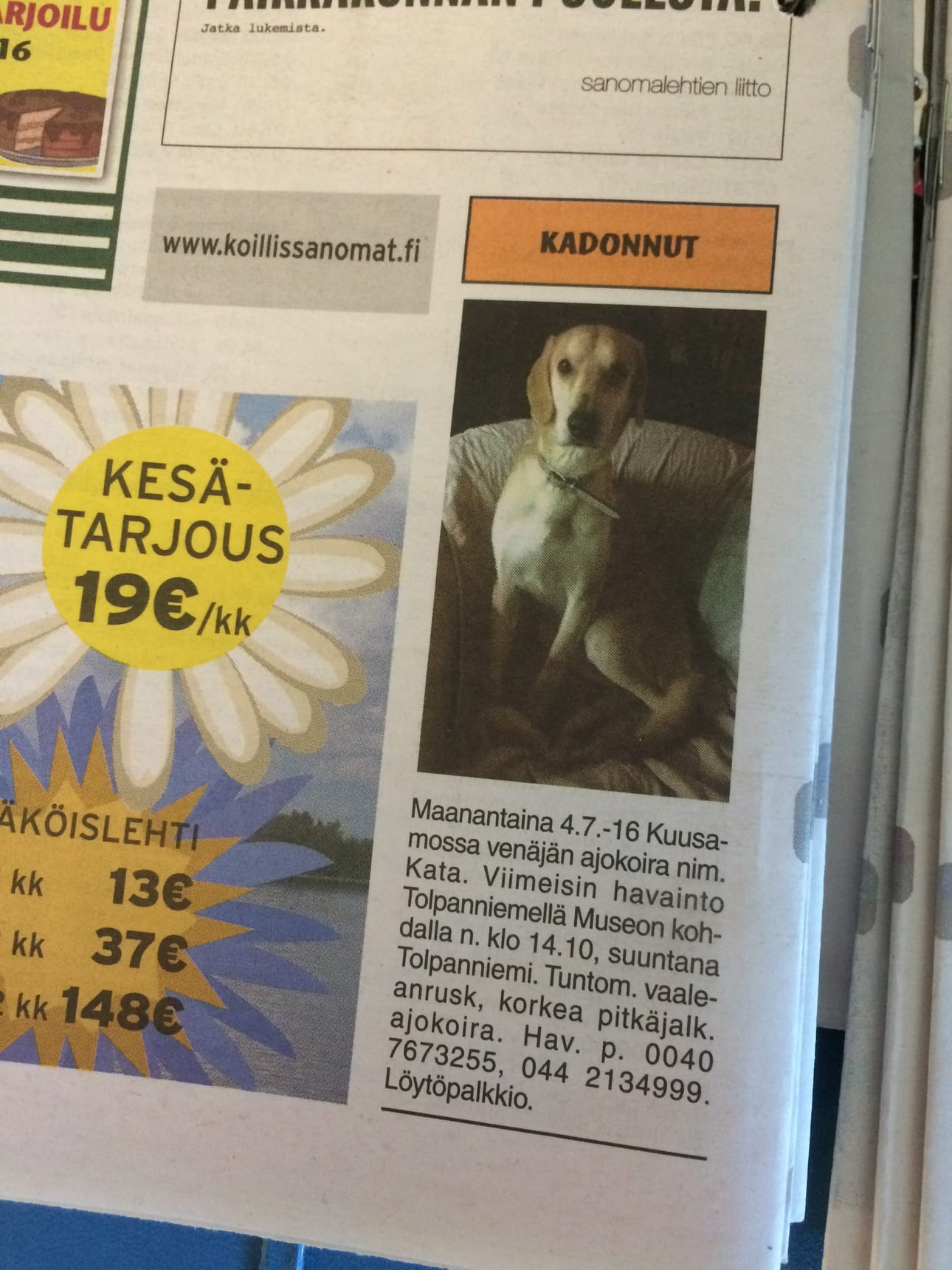 Tänä kesänä kadoksissa on ollut esimerkiksi Kata-venäjänajokoira, joka myös löytyi.