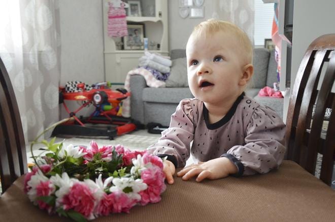 Viikonloppuna 11 kuukautta täyttänyt Eveliina Valkama palkittiin Sopevimman Muksun tittelistä muun muassa kukkaseppeleellä. Iloisen ja nauravan tytön vanhemmat, Katriina ja Ville Valkama toivovat, että jo nyt näkyvä valoisa luonne säilyy Eveliinan mukana. – Ja tietysti niitä suojelusenkeleitä tytön matkaan toivoo. Ettei vain sattuisi mitään, Katriina lisää. KUVAT: JAANA ALA-LAHTI