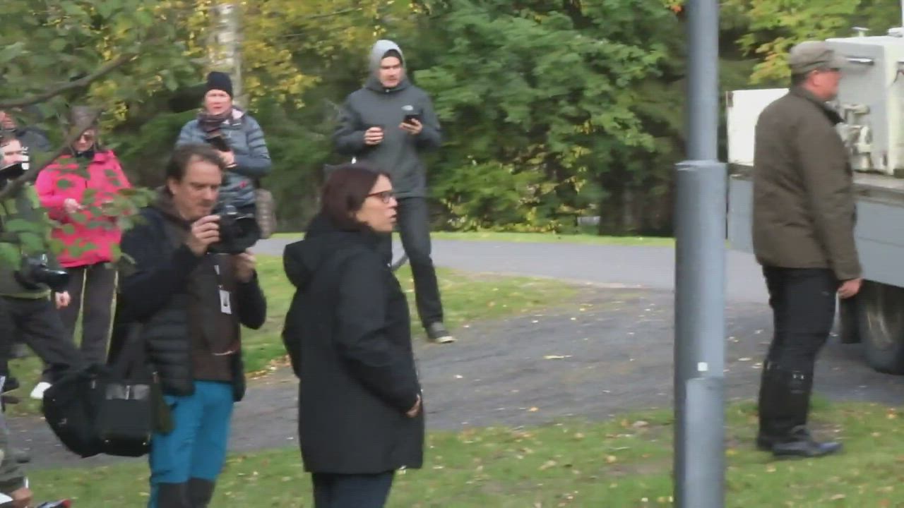 Hupisaarten puroihin kotiutettiin keskiviikkona Oulujoen taimenta