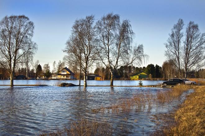 Kuva: Eetu Sillanpää / arkisto