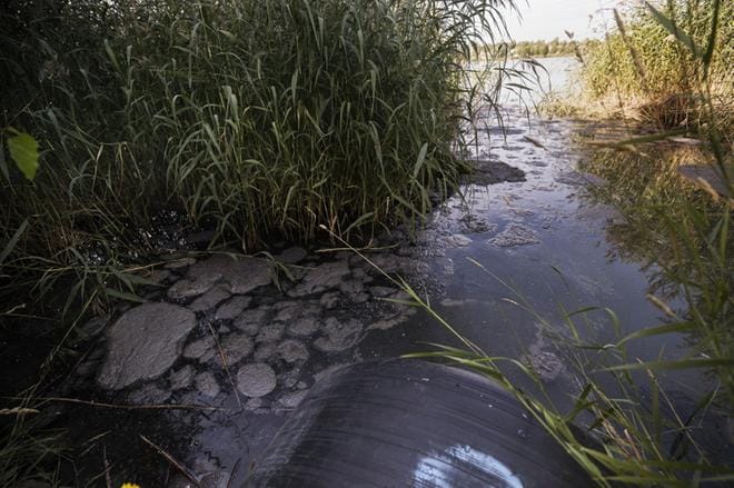 Elokuun 8. päivä Onkilahden rannassa oli haisevaa jäteliejua. Mereen päässyt jätevesi koostui pääasiassa virtsasta ja ulosteista. KUVA: JARNO PELLINEN