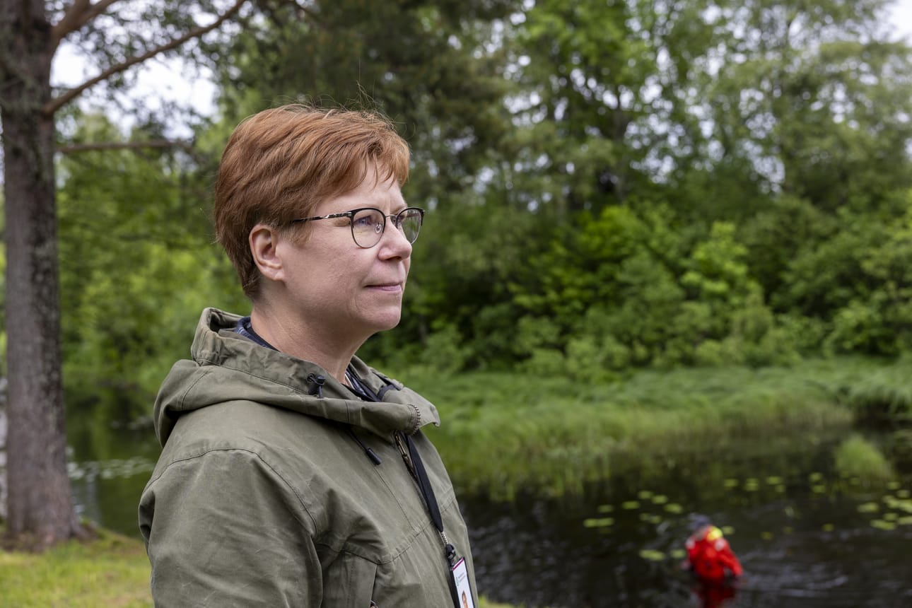 Satu Räsänen vetää Luonnonvarakeskuksen ja Suomen metsäkeskuksen Kiiminkijoen valuma-alueen ympäristön parantamisen koordinaatiohanketta.
