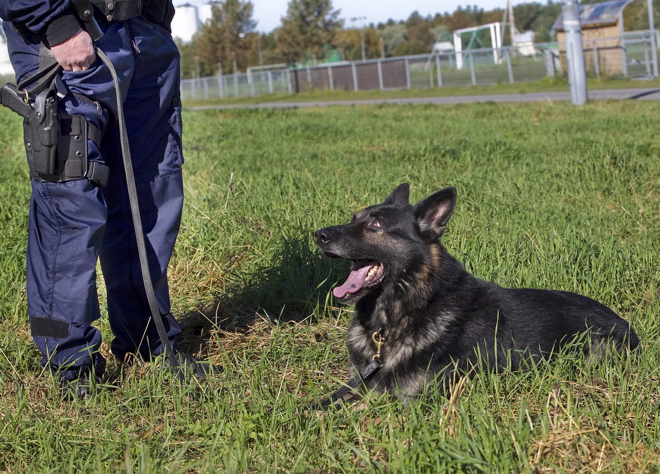 Arkistokuva. Ei liity tapaukseen.
