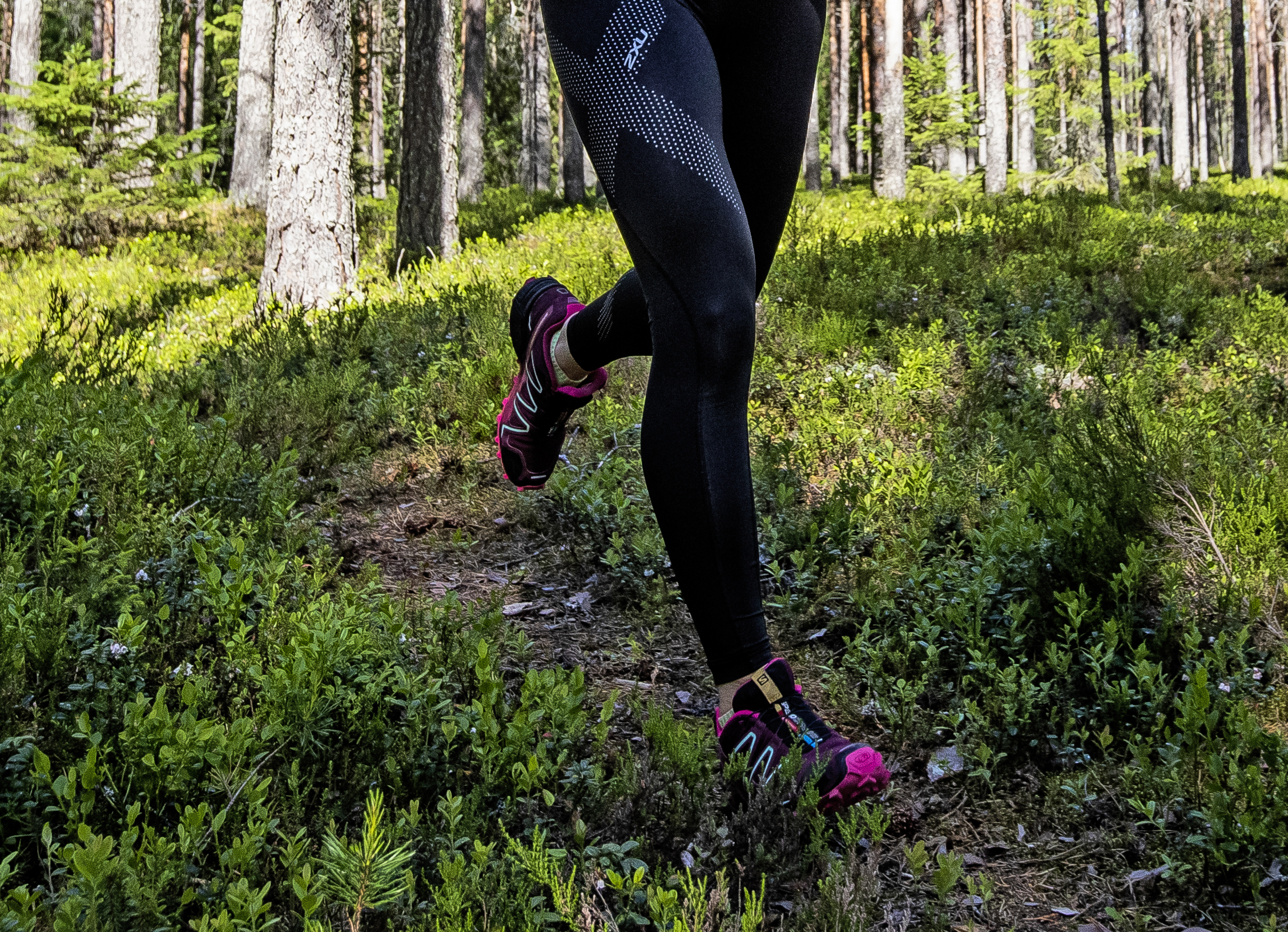 Polkujuoksuun pääsee tutustumaan Aakonvuoren maastoissa torstaina – Haapaveden tapahtuma on ainoa laatuaan koko Pohjois-Suomessa