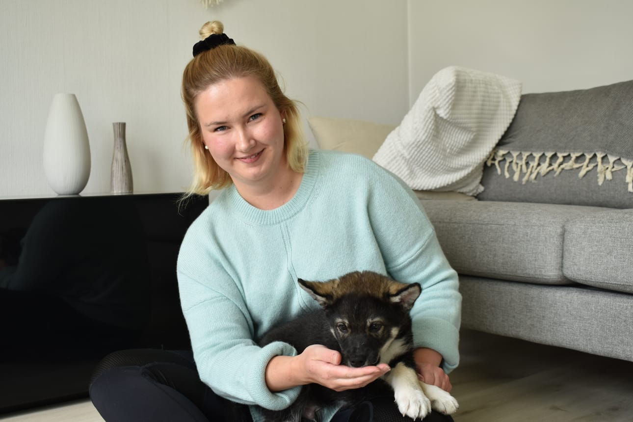 Terhi Törmänen ja tuore perheenjäsen lapinporokoira Otso. Herkut ovat kuvaushetkellä tarpeen, sillä Otsolla on energiaa Törmäsen työpäivän jälkeen.