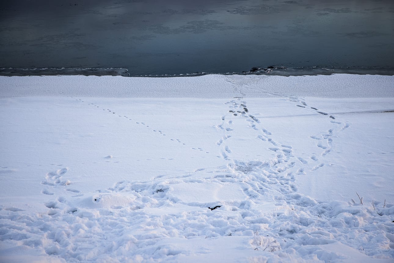 Rovaniemellä turisteja on liikkunut alkutalvesta Kemijoen heikolla jäällä. Kuva on otettu 25. marraskuuta.